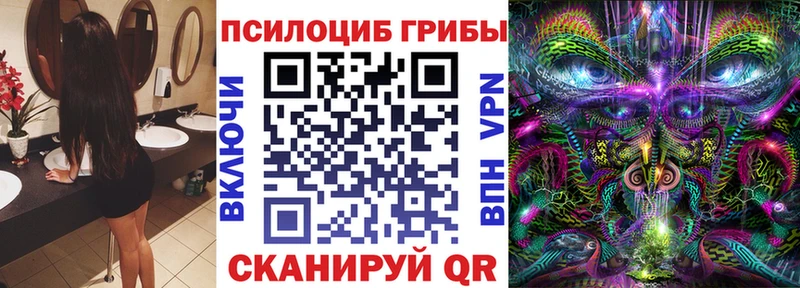 Купить где  Нижний Тагил  Псилоцибиновые грибы прущие грибы 